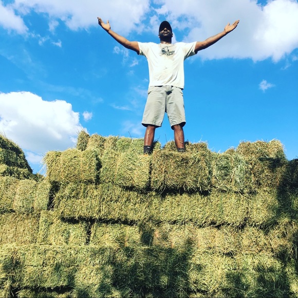 Meet your Posher, Gary Gary - Picture 2 of 4